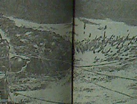 テラフォーマーズ　第76話感想　・・・え？