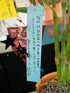 P7060553