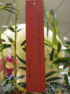 P7060568