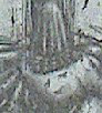 20130117_055027