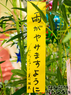 P7060536