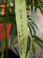 P7060554
