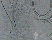 20121119_073934