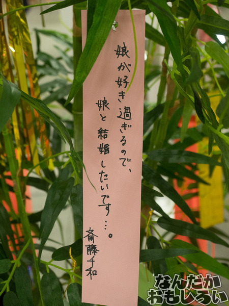 P7060557