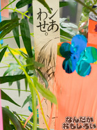 P7060533
