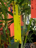 P7060599