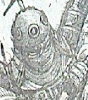 キングダム第347話感想
