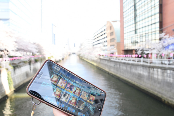 目黒川FGO桜ガチャ-5