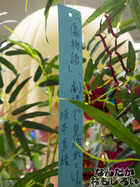P7060570