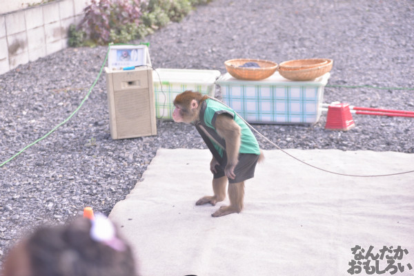 土師祭2014』全記事まとめ 写真 画像_4443