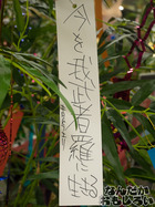 P7060584