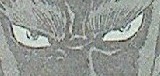 はじめの一歩第1026話感想
