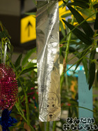P7060594