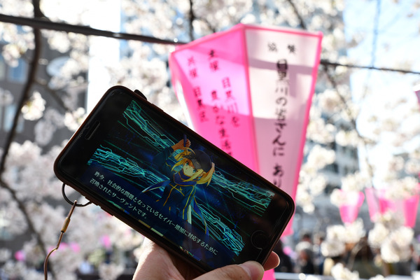 目黒川FGO桜ガチャ-9