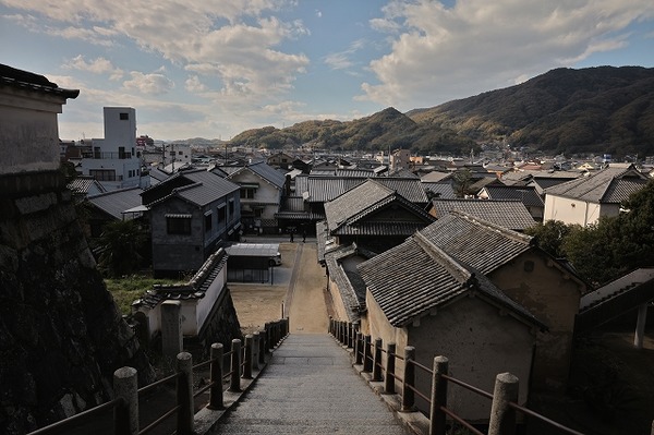 写真 2020-11-30 11 48 47