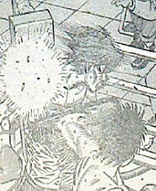 はじめの一歩第1024話感想　今井渾身の←フックゥ！