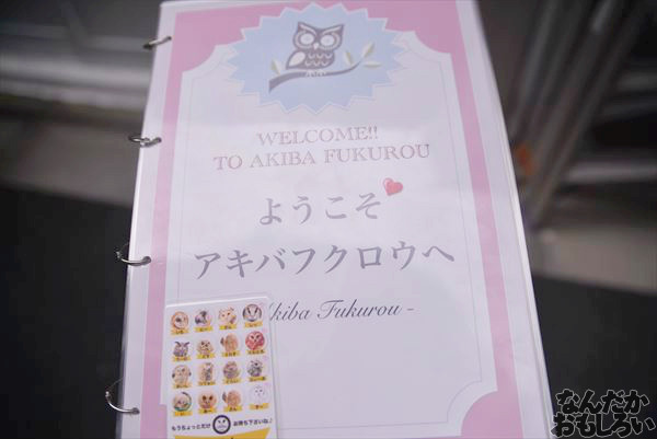 アキバフクロウ 写真 レポート_1080_R