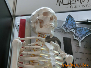 AnimeContentsExpo2013-1041