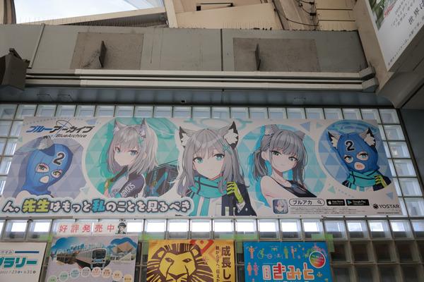 0G8A8050