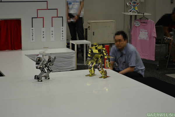 アキバ大好き！祭り2013_0058
