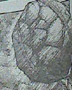 20130221_062037
