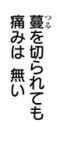 『テラフォーマーズ』地球編第43話