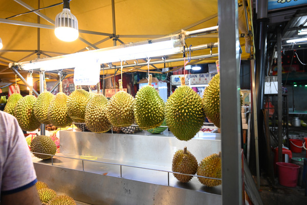 FGOナポレオンガチャ013