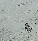 20130204_062230