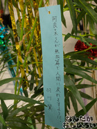 P7060579