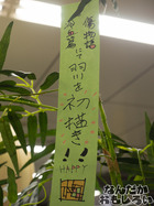 P7060592