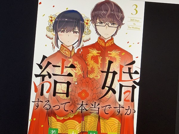 結婚するって、本当ですか：第3巻