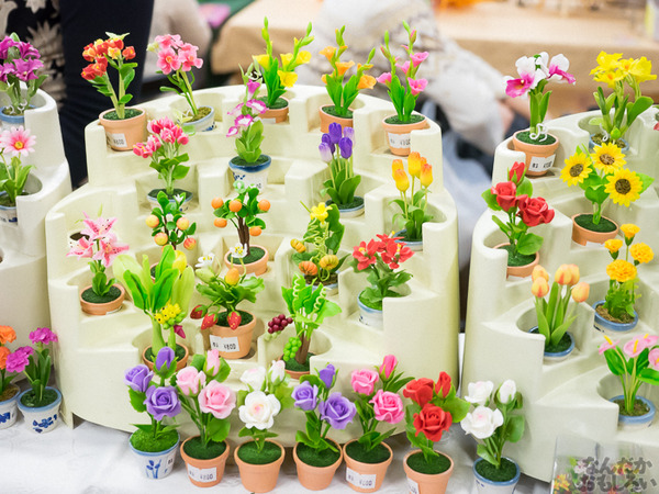 『AK-GARDEN【9】』フォトレポート0049