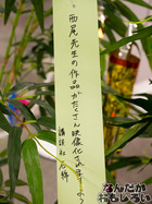 P7060541