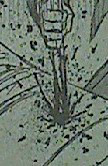 20140318_104540