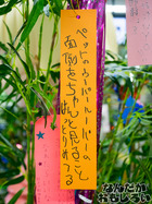 P7060542