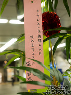 P7060539