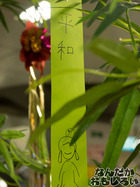 P7060546