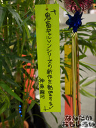 P7060560