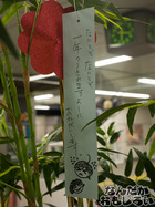 P7060591