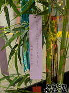 P7060586