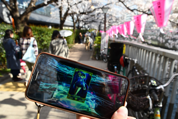 目黒川FGO桜ガチャ-7