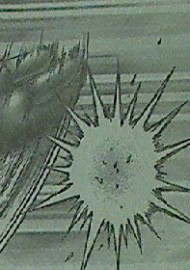 テラフォーマーズ　第76話感想　指ぱっちん