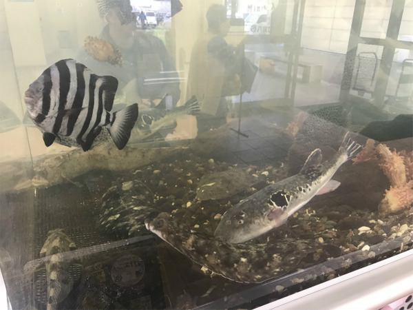 写真 2018-06-14 14 00 35