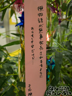 P7060571
