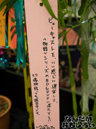 P7060575
