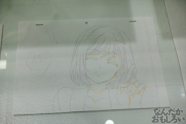 DSC00060