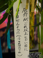 P7060565