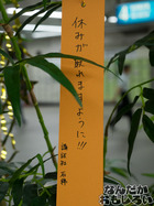 P7060587
