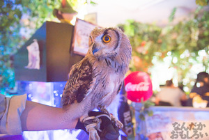 秋葉原のフクロウカフェ・アウルの森の写真画像まとめ_6116