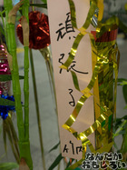 P7060585